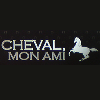 Cheval, mon ami – Cadence, la Sellerie du BAB, partenaire école équestre écurie fantagaro