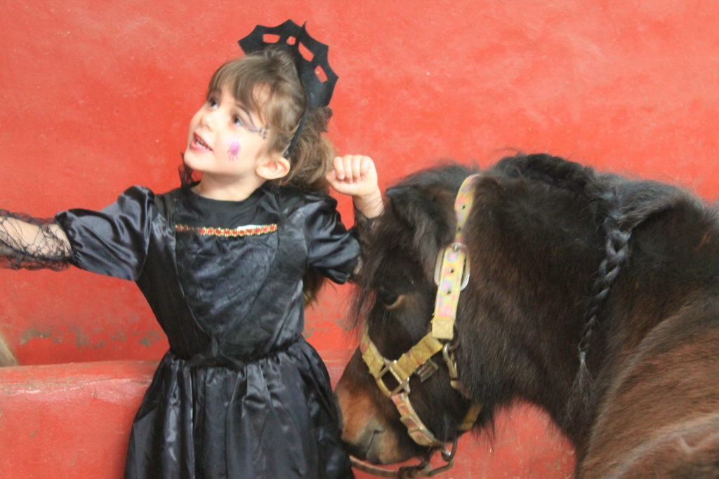 Écurie Fantagaro, Ecole Equitation, Spectacle Équestre, centre équestre, 64210 AHETZE, Pays Basque Écurie Fantagaro, Ecole Equitation, Spectacle Équestre, centre équestre, 64210 AHETZE, Pays Basque