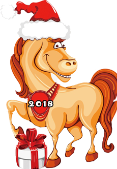 stage équestre nouvel année 2018 stage équestre nouvel année 2018