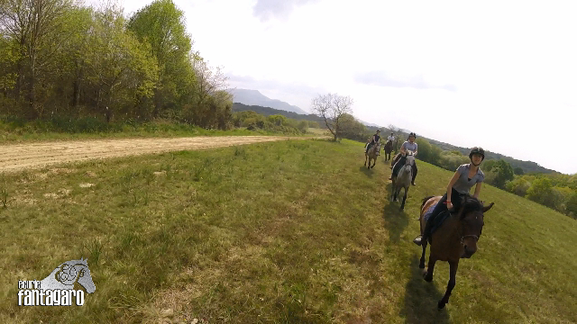 stage-equestre-vacance-ecurie-fantagoro-ecole-equitation-ahetze stage équestre vacance écurie fantagoro école équitation ahetze